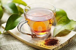 Rooibos tea photo