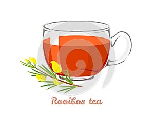 Rooibos tea in transparent glass cup and flower.