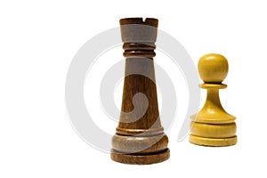 Rook and Pawn photo