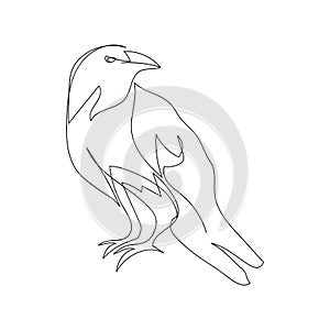 Rook, raven one line art. Continuous line drawing of halloween theme, gothic, ornithology, scary, bird.