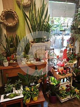 A room filled with furniture and vase of flowers on a table