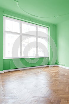 Apartment interior, green walls photo