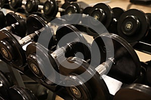 Room with gym equipment in the sport club, sport club gym , Health and recreation room