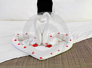 Room in a hotel with swans from the towel on the newlyweds bed