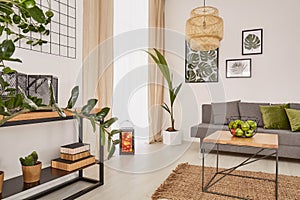 Room interior with plants