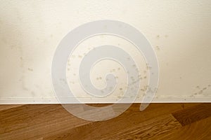 White apartment wall with toxic mold and mildew