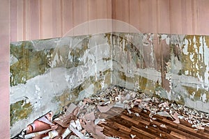 Room with pieces of pink wallpaper torn from the wall lying on the wooden floor