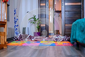 Room with a rug, a children`s rug and green plants photo