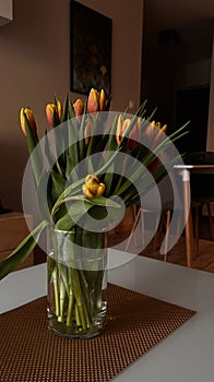 In the room on the table in a transparent vase are orange and yellow tulips