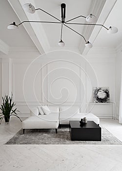 Room with white sofa, plant and abstract picture