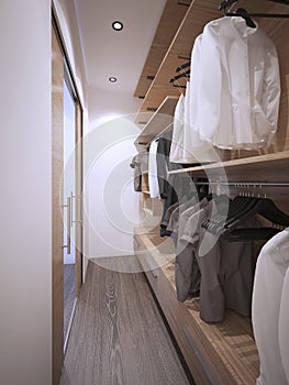 Roomy walk-in closet modern style photo