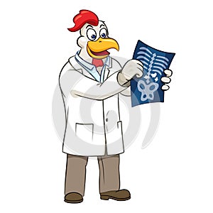 Rooser doctor vector illustration