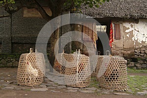 Rooster Baskets, Bali, Indonesia photo