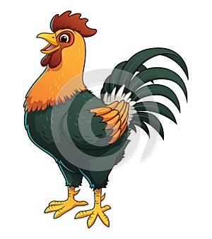 Rooster Cartoon Animal Illustration Color