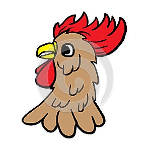 Rooster