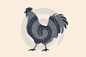 Rooster, chicken, hen, poultry, silhouette. Vintage logo, retro print, poster