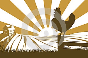 Rooster chicken silhouette crowing photo