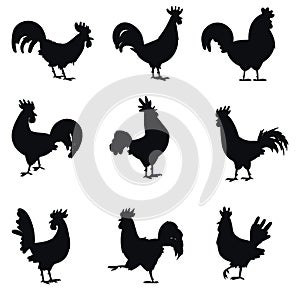Rooster Cock Chicken Set on isolated vector Silhouette