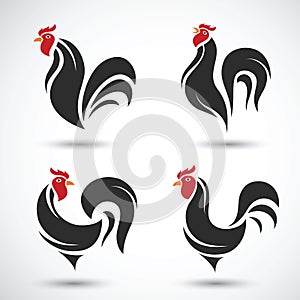 Rooster photo