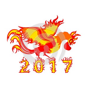 Rooster cock, symbol of 2017 on the Chinese calendar.