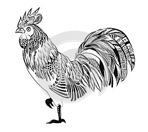 Rooster coloring book. Anti-stress illustration. Coloring for adult in zentangle style