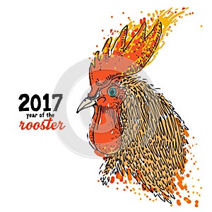 Rooster drawing illustration