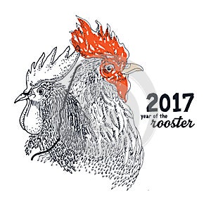 Rooster drawing illustration