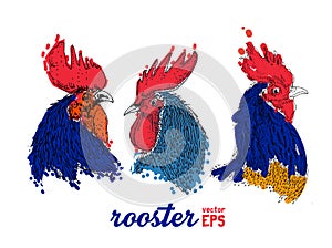 Rooster drawing illustration set