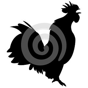 Rooster EPS vector file digital download