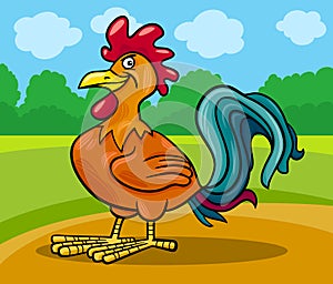 Rooster farm animal cartoon illustration