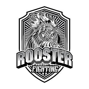 rooster fighting thailand chicken vector 5