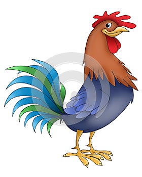 Rooster funny animals