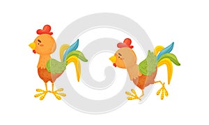 Rooster Funny Character with Bright Feathers Standing and Running Vector Set