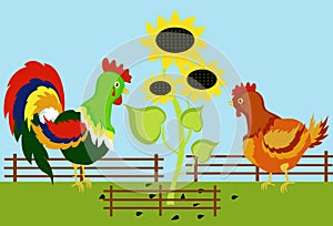 Rooster and hen