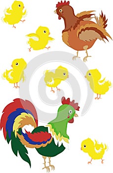 Rooster,hen,chicks