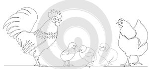 rooster, hen and chicks drawing by one continuous line, sketch