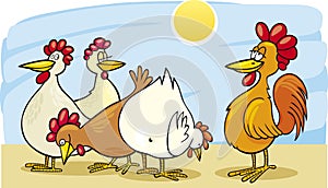 Rooster and hens