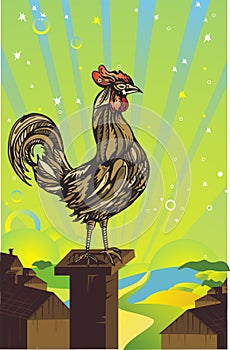 Rooster illustration