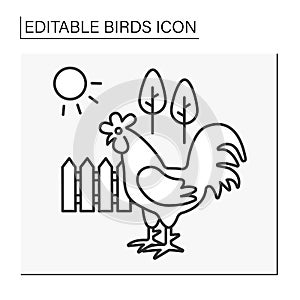 Rooster line icon