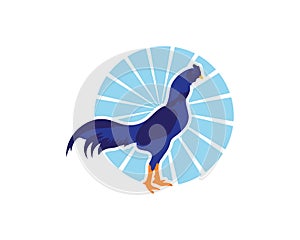 Rooster Logo Template