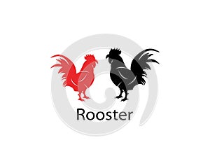 Rooster logo template design