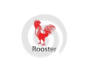 Rooster logo template design