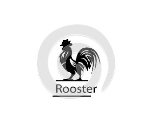 Rooster logo template design