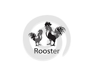 Rooster logo template design