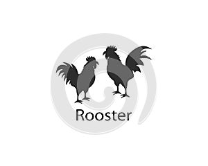 Rooster logo template design