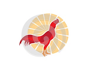 Rooster Logo Template