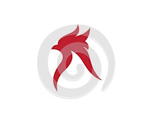 Rooster Logo Template vector