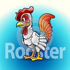 Rooster mascot or symbol./
