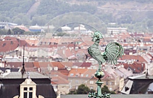 Rooster overlooking Prague roofs
