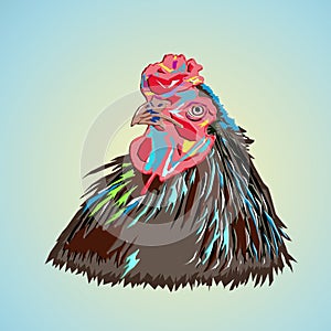 Rooster, pop art